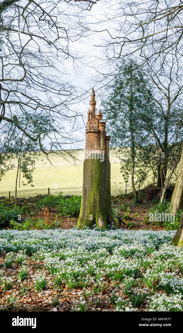 Tappeto di bucaneve e intaglio di un castello sul moncone di un albero morto tronco nel bosco, Painswick Giardino rococò, Painswick, Gloucestershire Foto Stock