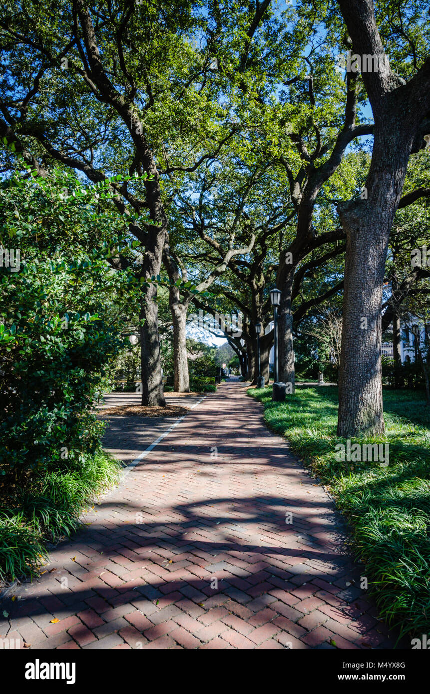 Oak alberata passeggiata di Forsyth park a Savannah, Georgia. Foto Stock