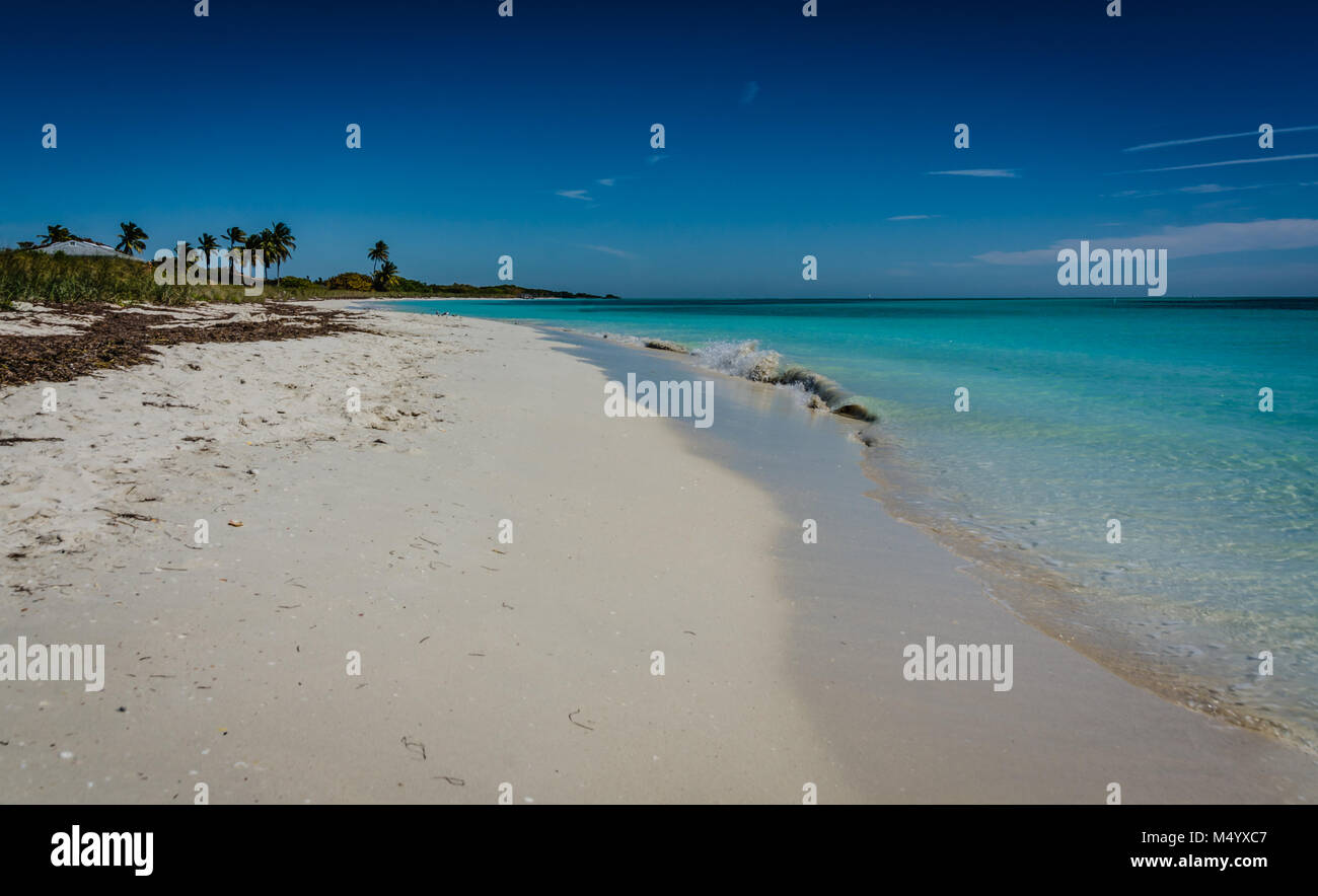 Tratto vuoto di Bahia Honda spiaggia di Bahia Honda State Park in Florida Keys. Foto Stock