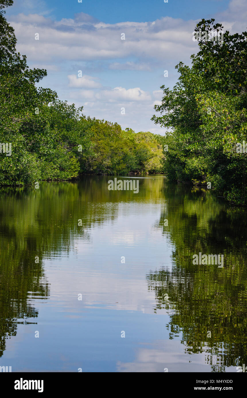 Sky e gli alberi si riflette sulla laguna al Parco nazionale Biscayne. Foto Stock