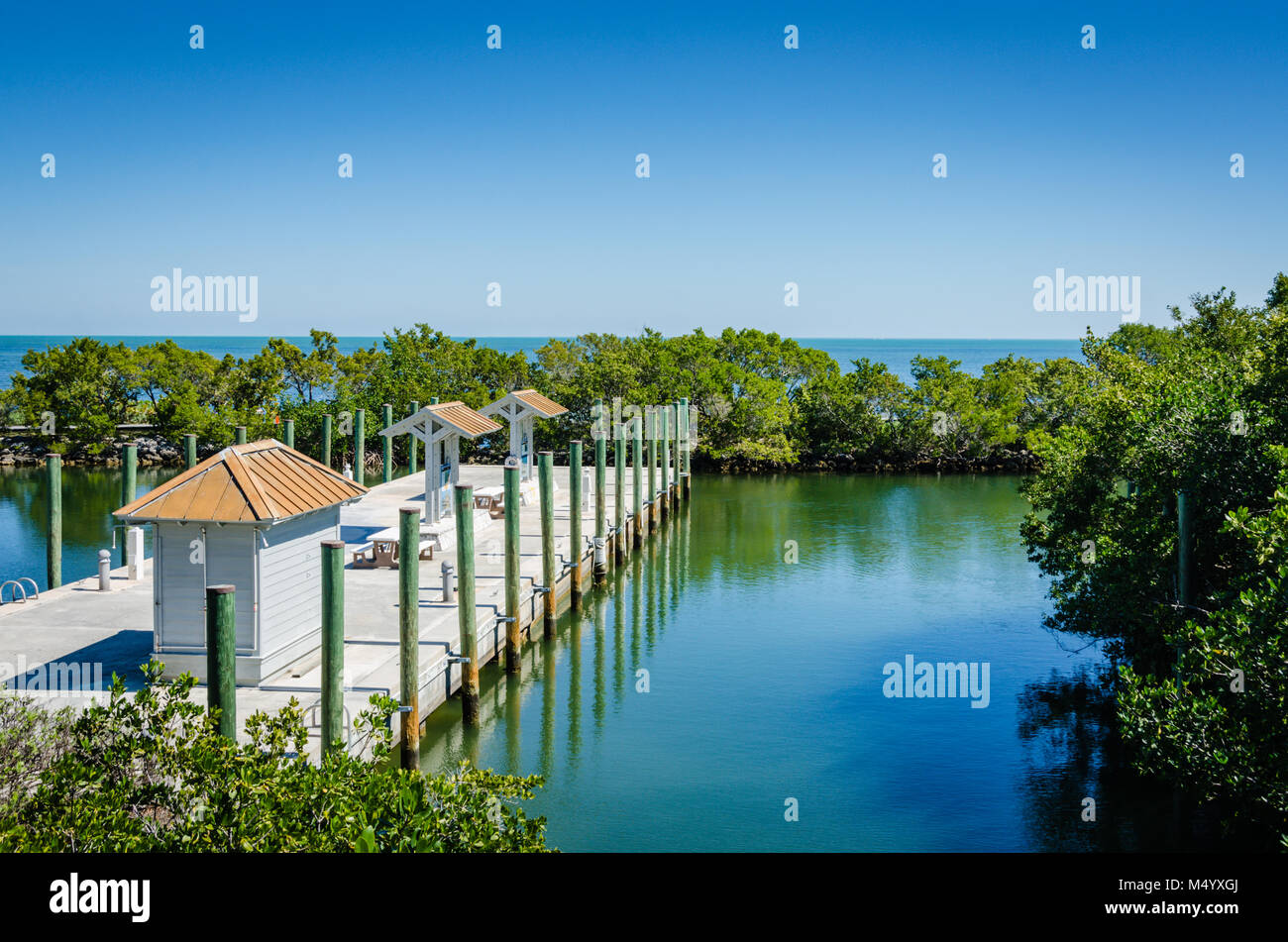 Il Parco Nazionale di Biscayne comprende barriere coralline, isole e foreste di mangrovie costiere nel nord delle Florida Keys. Foto Stock