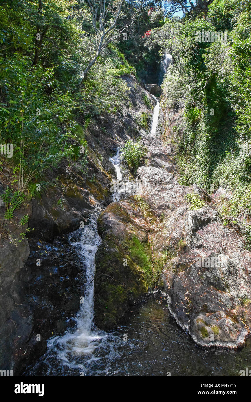 Waiere falls, Whakatane, Nuova Zelanda Foto Stock