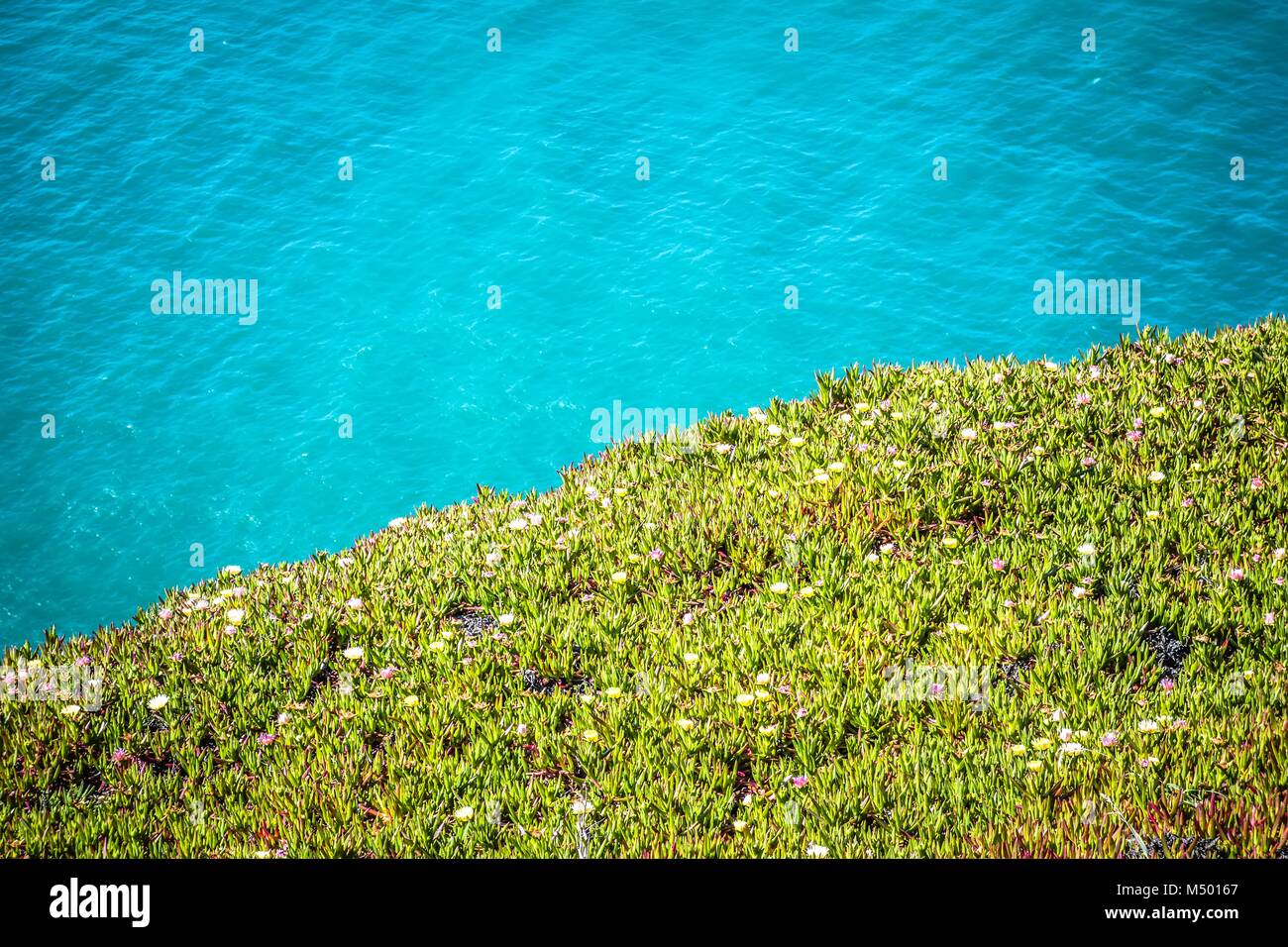 Point reyes National Seashore paesaggi in California Foto Stock