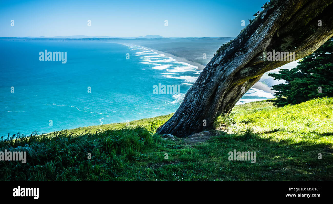 Point reyes National Seashore paesaggi in California Foto Stock