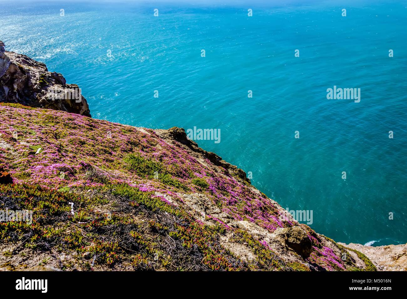 Point reyes National Seashore paesaggi in California Foto Stock