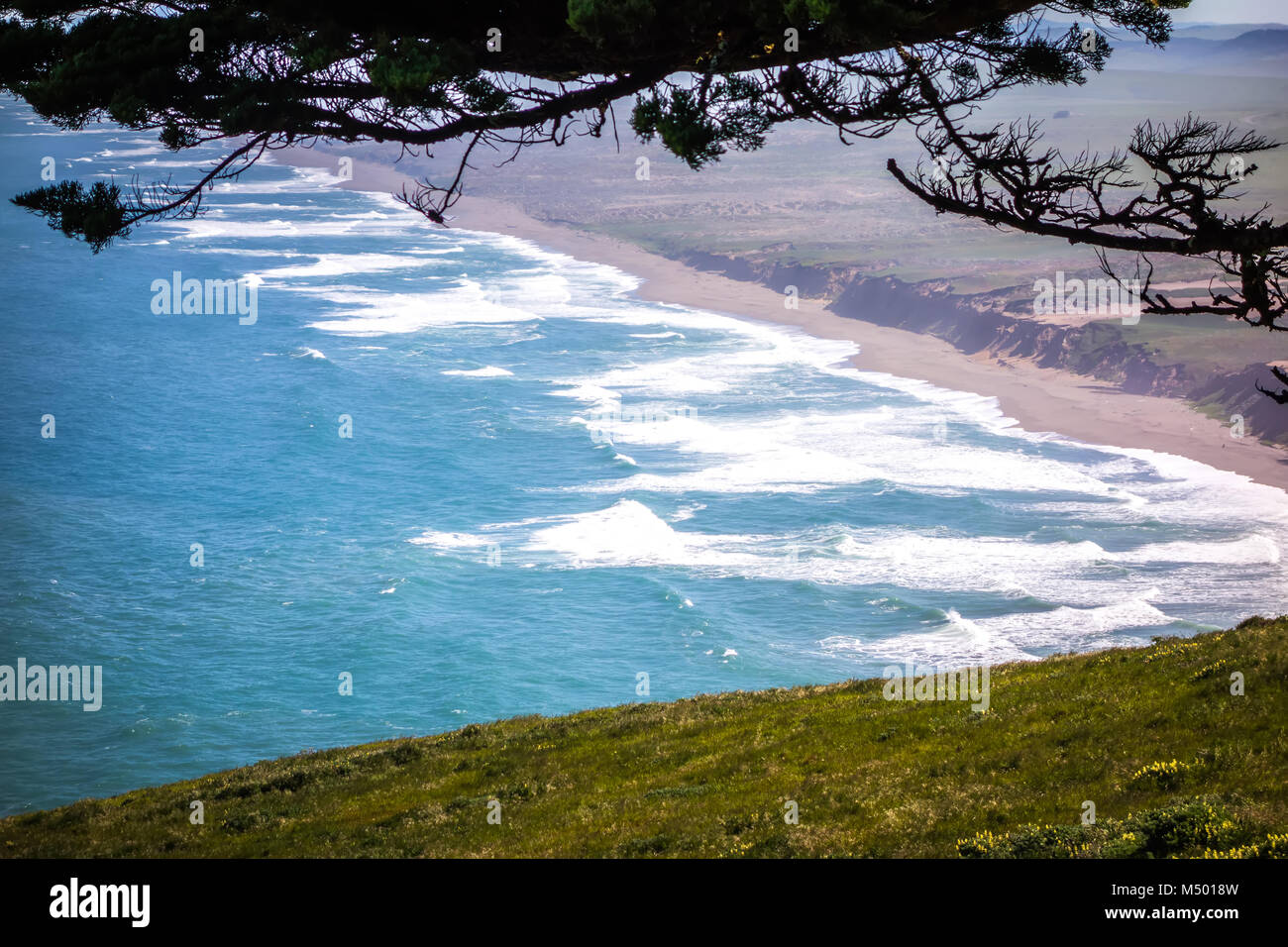 Point reyes National Seashore paesaggi in California Foto Stock