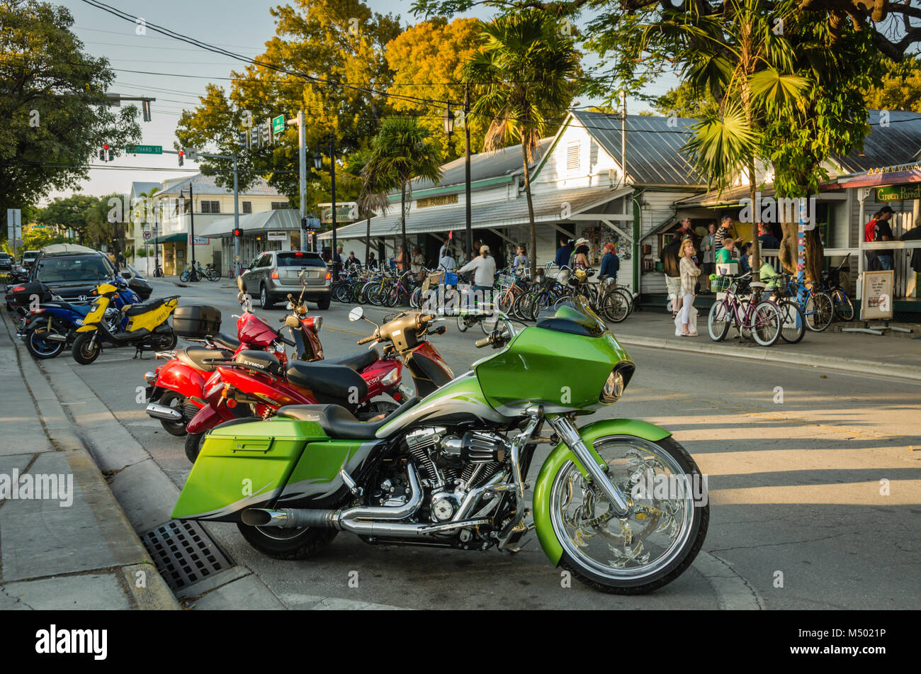 Un motociclo verde con alberi di palma tropicali sulle ruote visto al Partito popolare in scena a Key West, FL. Il pappagallo verde Bar un' istituzione dal 1890,f Foto Stock
