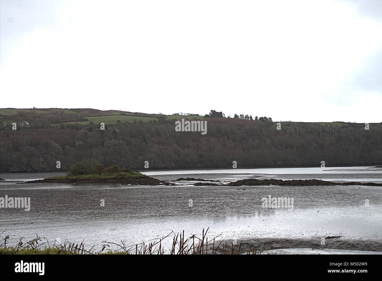 Castlehaven Harbour, West Cork,19 Febbraio 2018.Meteo irlandese: grigia mattina nuvoloso oltre le velme di Castlehaven Harbour come la marea si ritira. Foto Stock