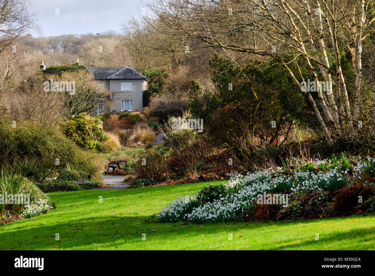 Vista invernale torna a casa lungo la lunga passeggiata al Garden House, Buckland Monachorum, Devon, Regno Unito Foto Stock