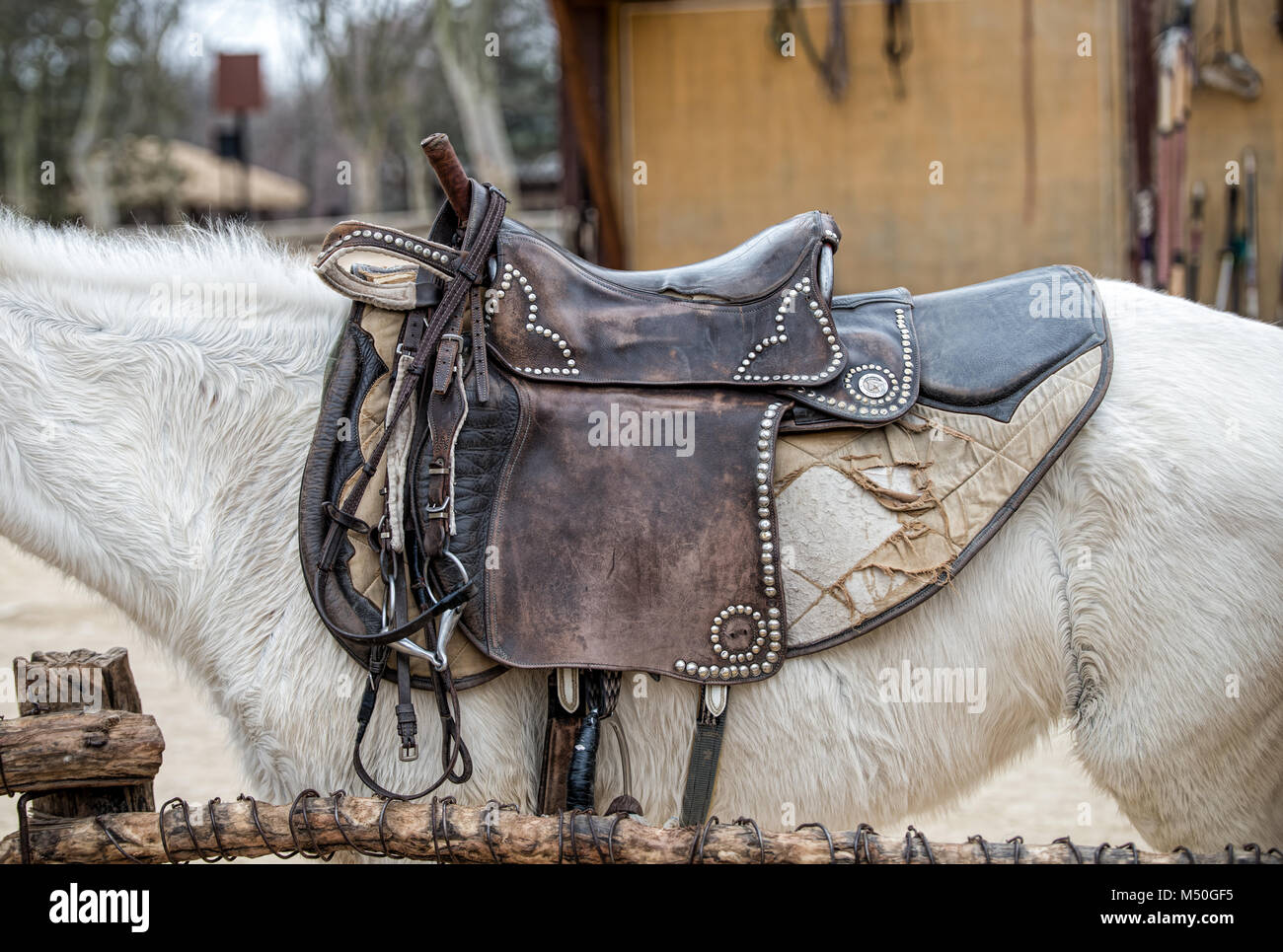 Sella con staffe sul dorso di un cavallo Foto Stock