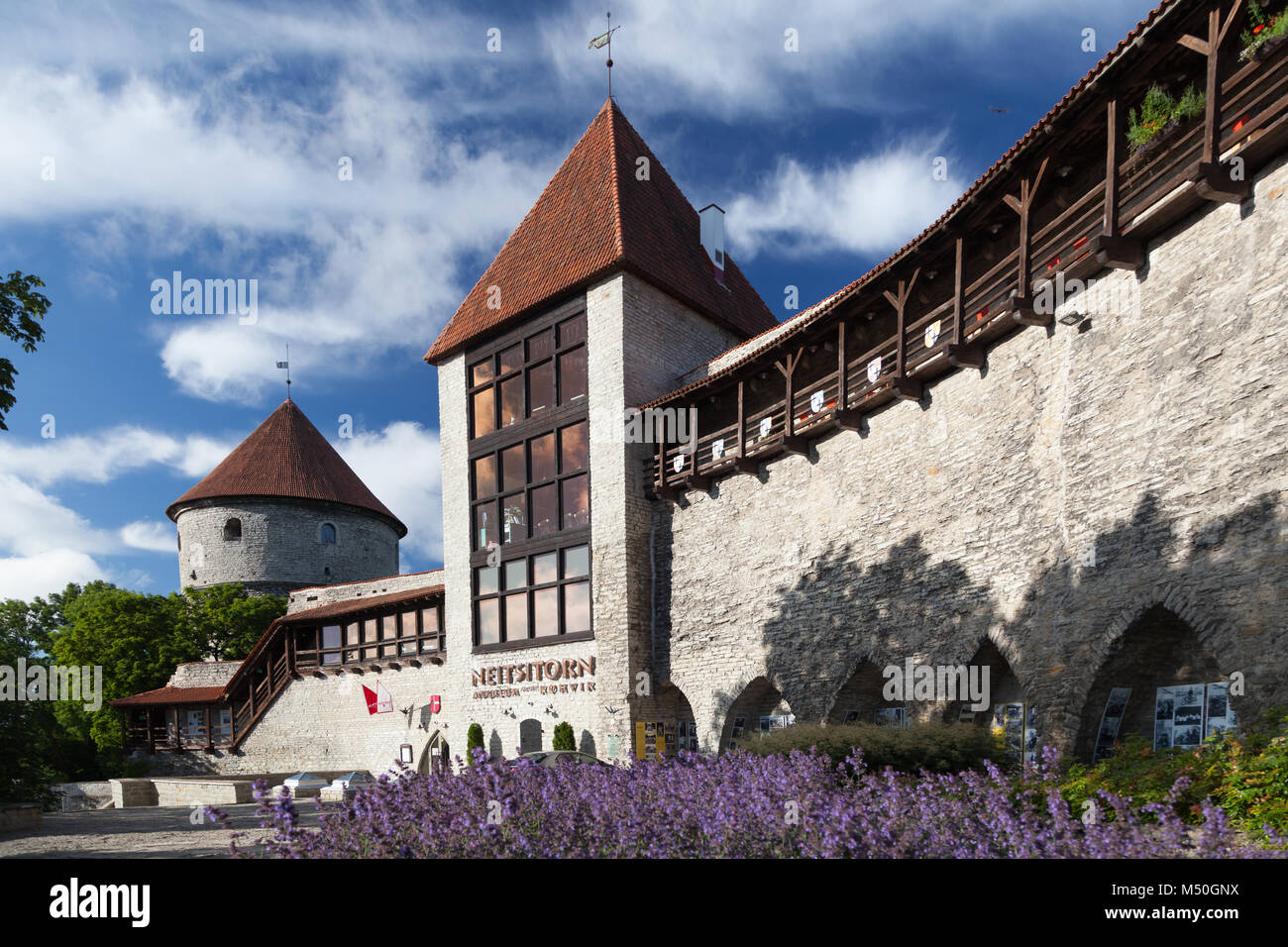 Maiden Neitsitorn tower - una torre fortezza nella parte sud-occidentale del Tallinn muraglia difensiva, fu costruito nel XIV Foto Stock