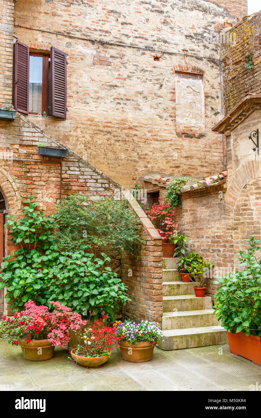 Fiori e piante verdi in un cortile Foto Stock