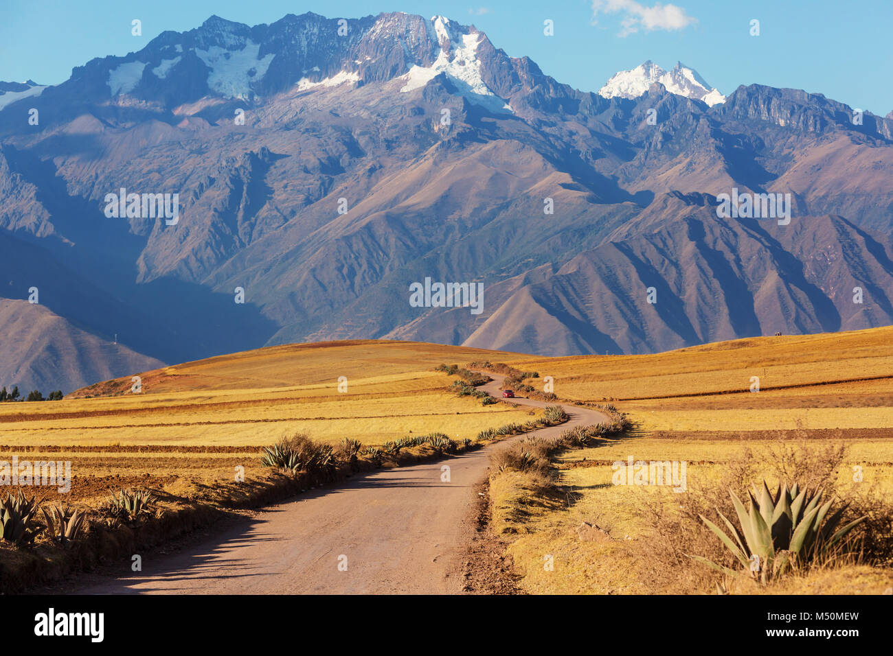 Pampa peruviana Foto Stock