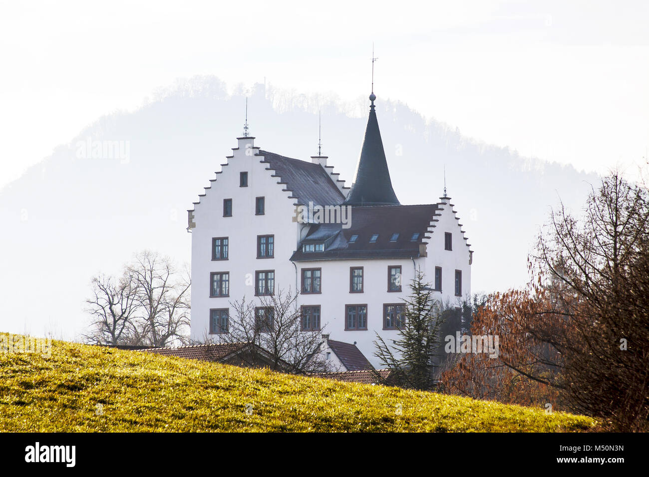 Il castello di Krenkinger Engen Foto Stock