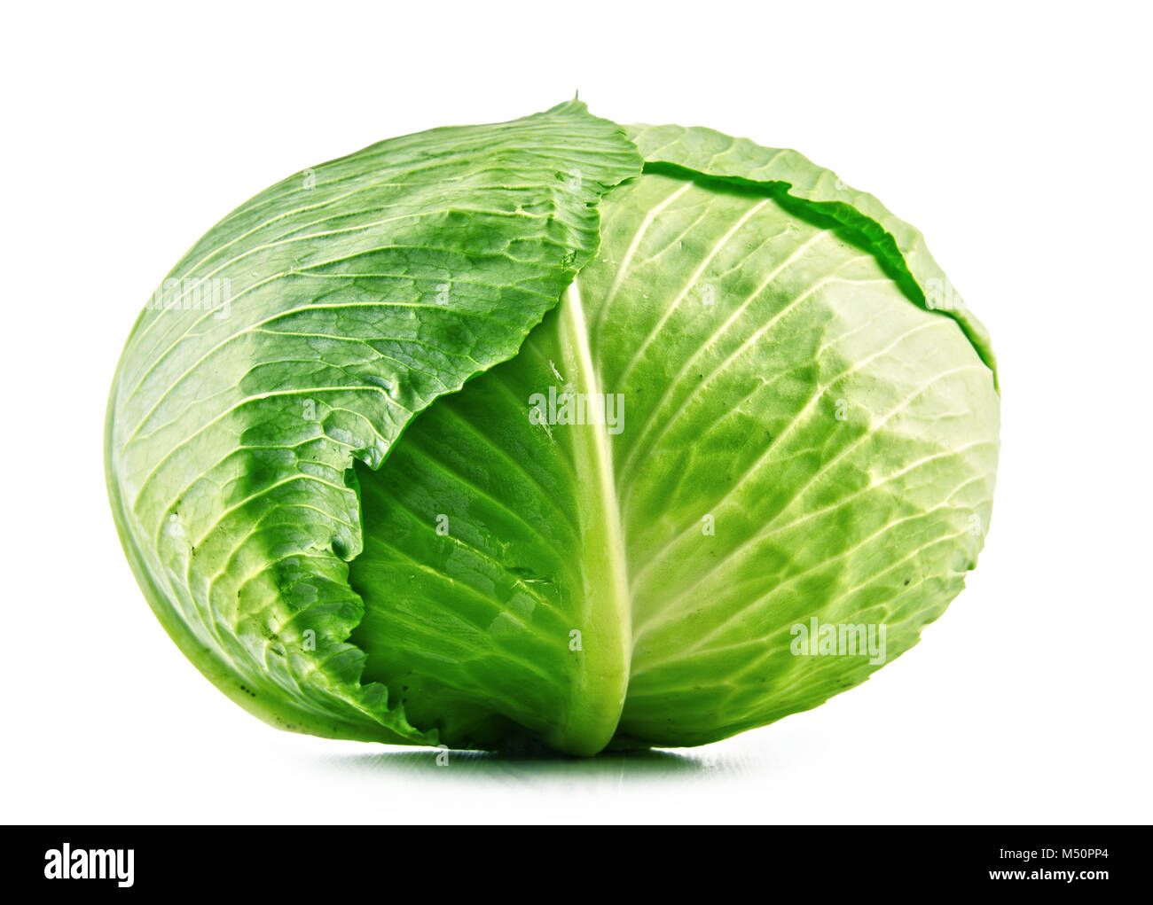 Fresche biologiche testa di cavolo isolati su sfondo bianco Foto Stock