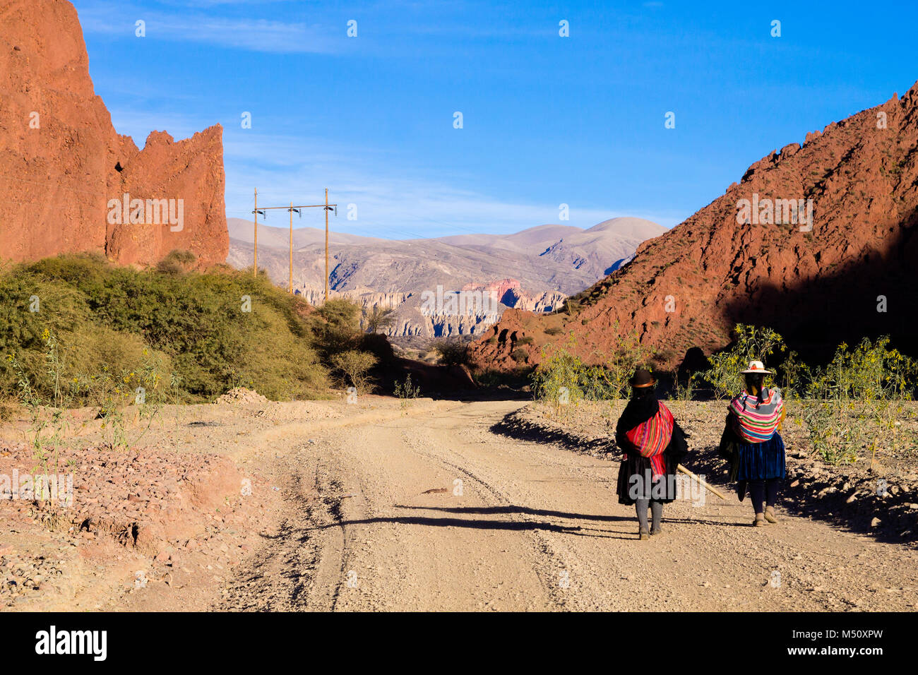 Popolo boliviano a piedi lungo la strada sterrata in Bolivia. Paesaggio boliviano Foto Stock