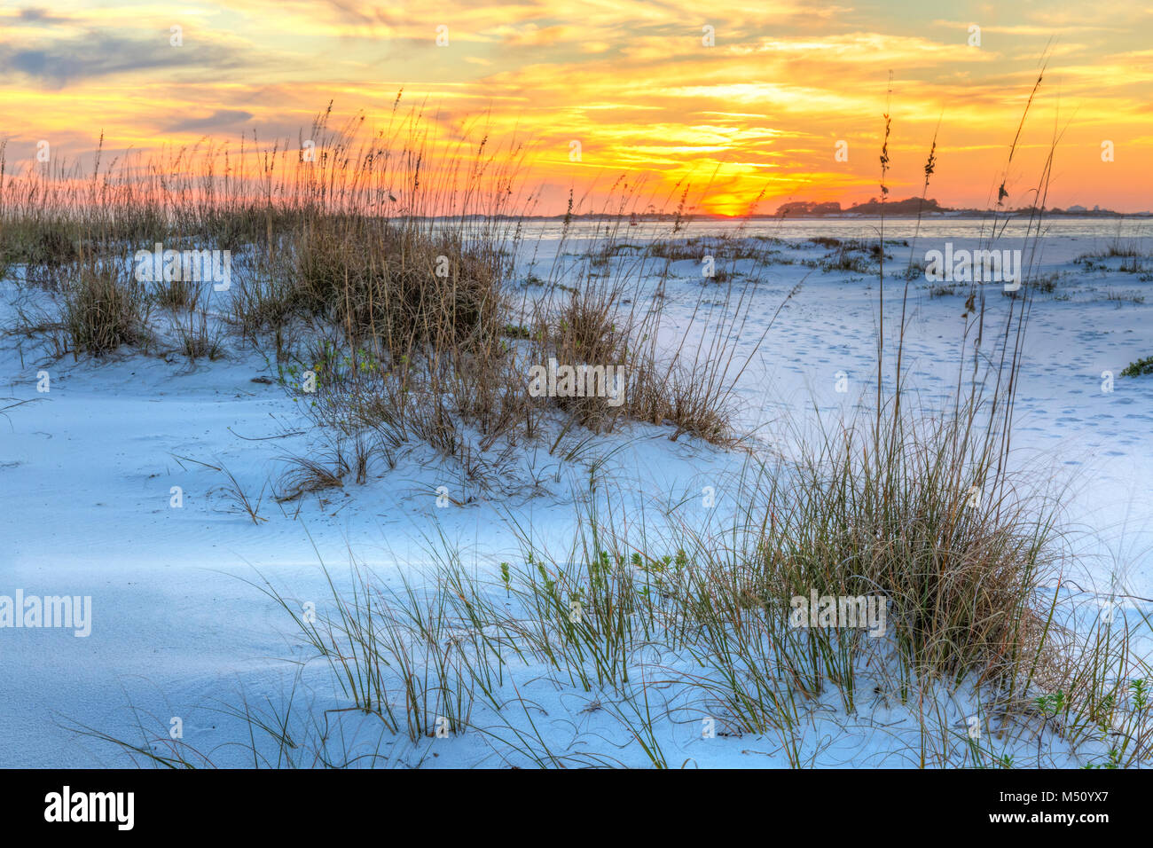 Un colorato tramonto sul seaoats e dune sulla Fort Pickens spiaggia nella Gulf Islands National Seashore, Florida. Foto Stock