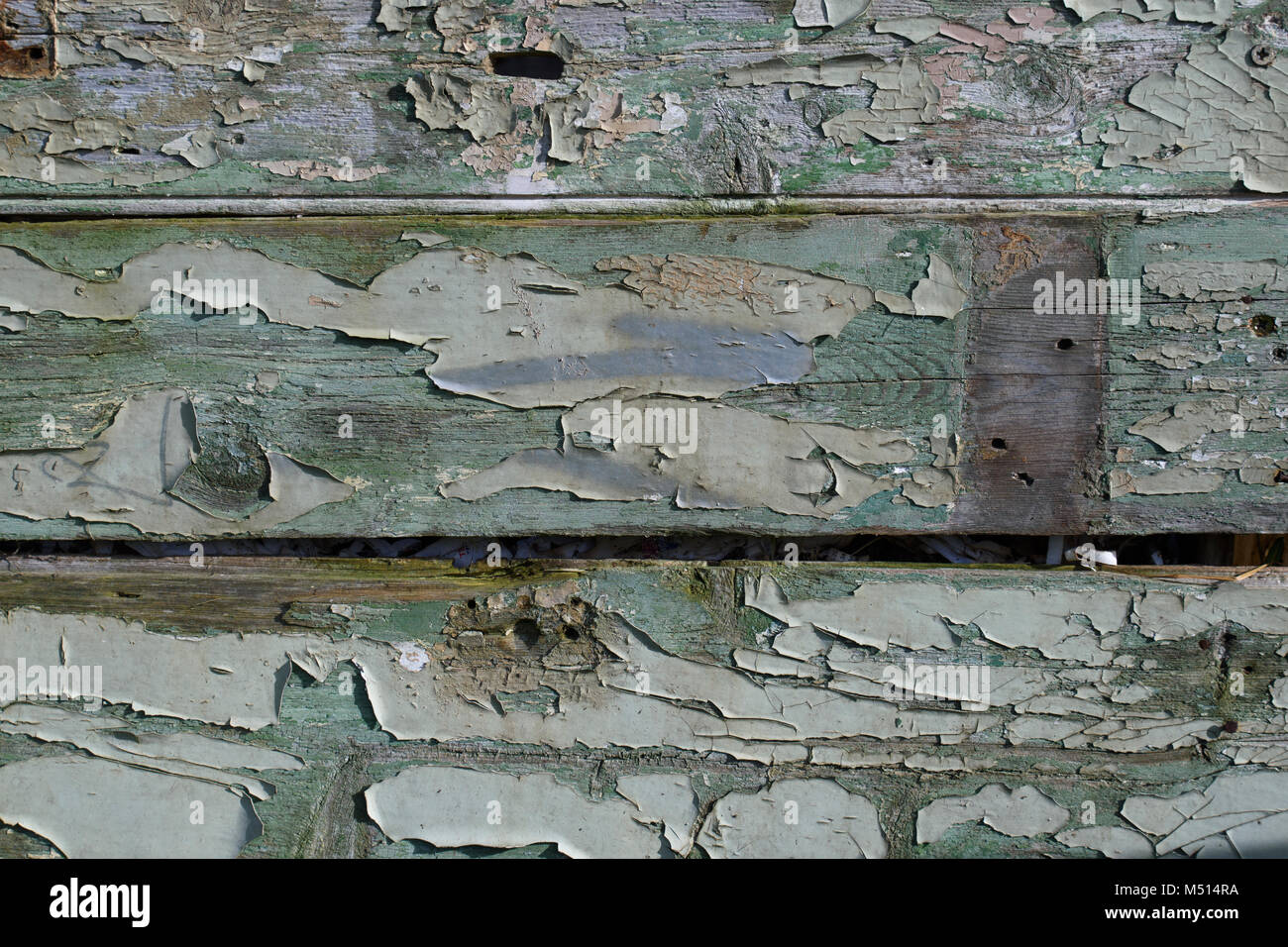 Peeling su vernice vecchia alterate di pannelli di legno Foto Stock