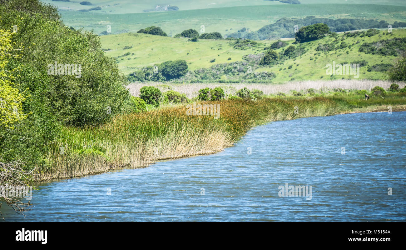 Point reyes National Seashore costa sull Oceano Pacifico Foto Stock