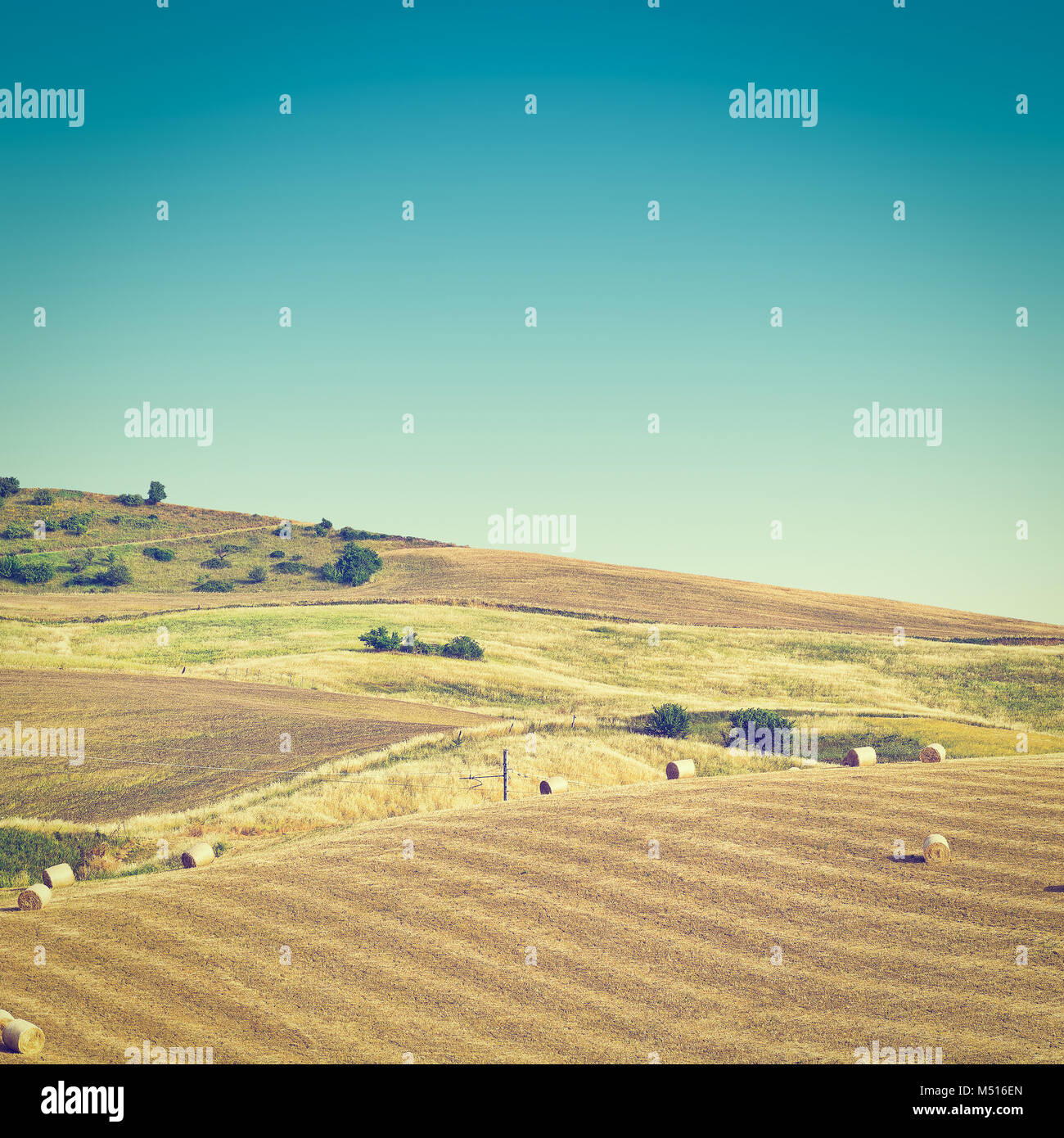 Balle di fieno Foto Stock