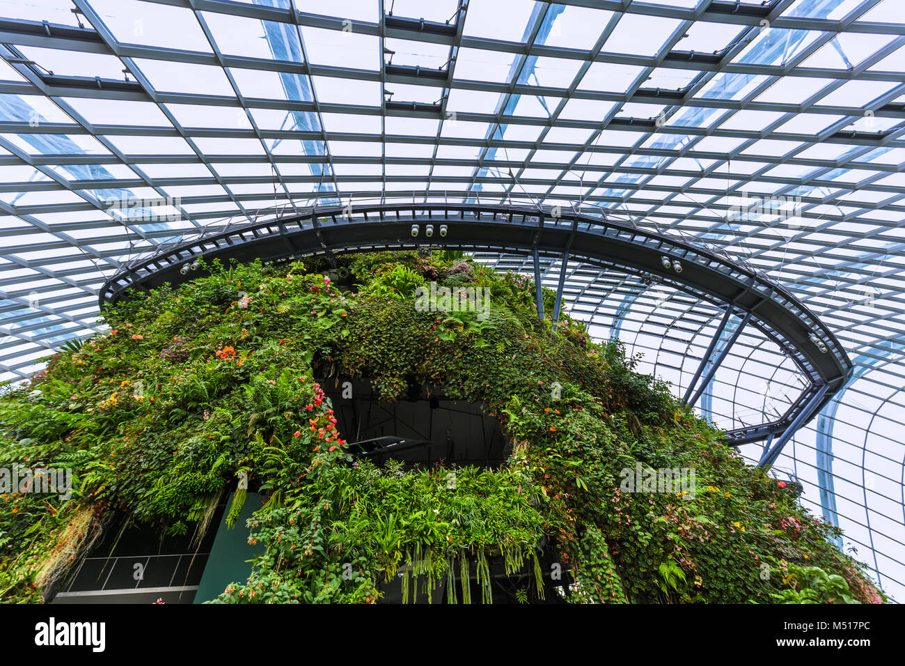 Cloud Forest cupola a giardini dalla Baia di Singapore Foto Stock