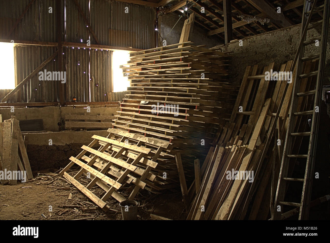 Una pila di pallet in un fienile con il sole di mattina proveniente attraverso le finestre. Foto Stock