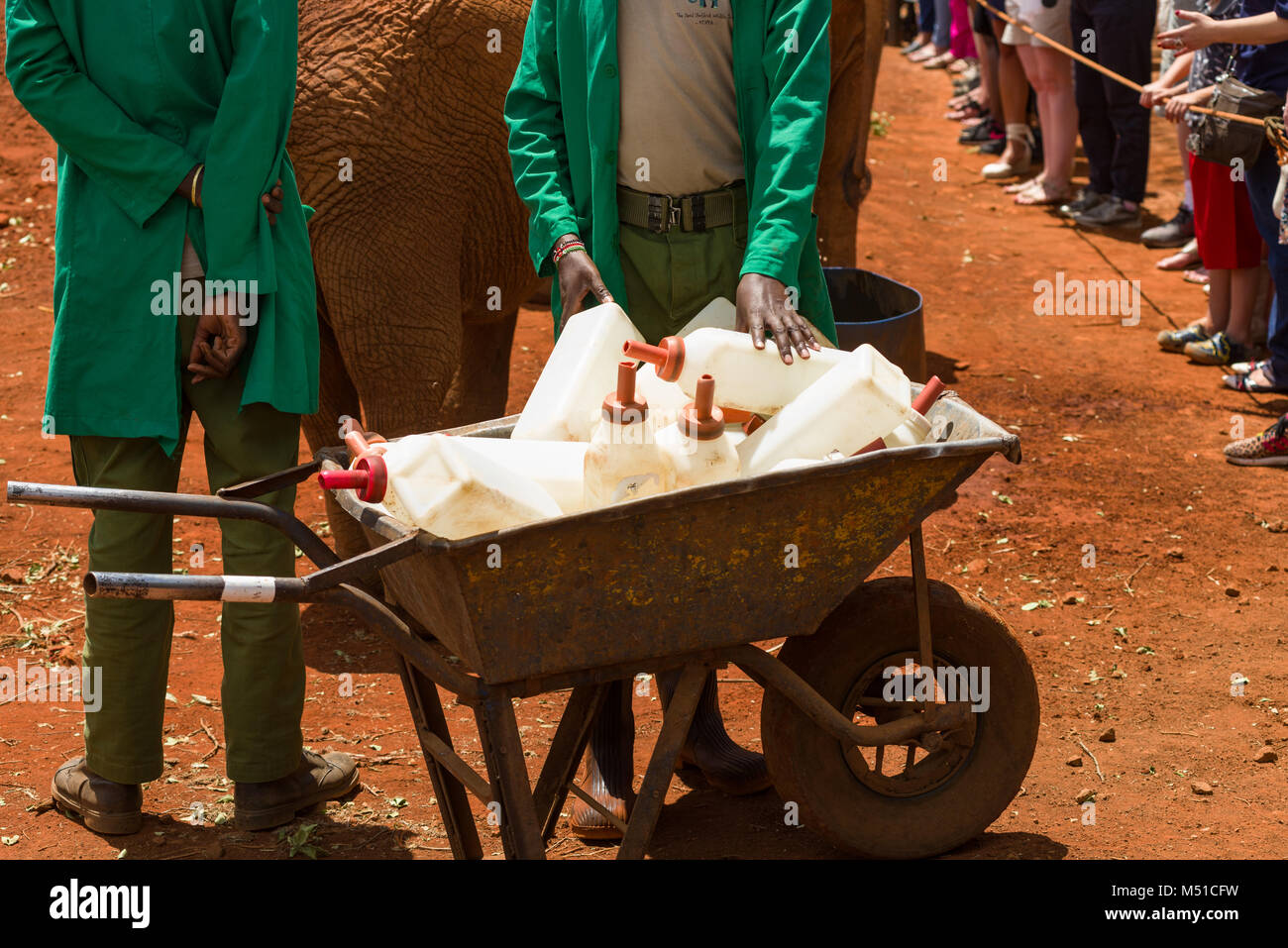 Una carriola piena di vuoto grandi bottiglie di latte, David Sheldrick Wildlife Trust, Nairobi, Kenia Foto Stock