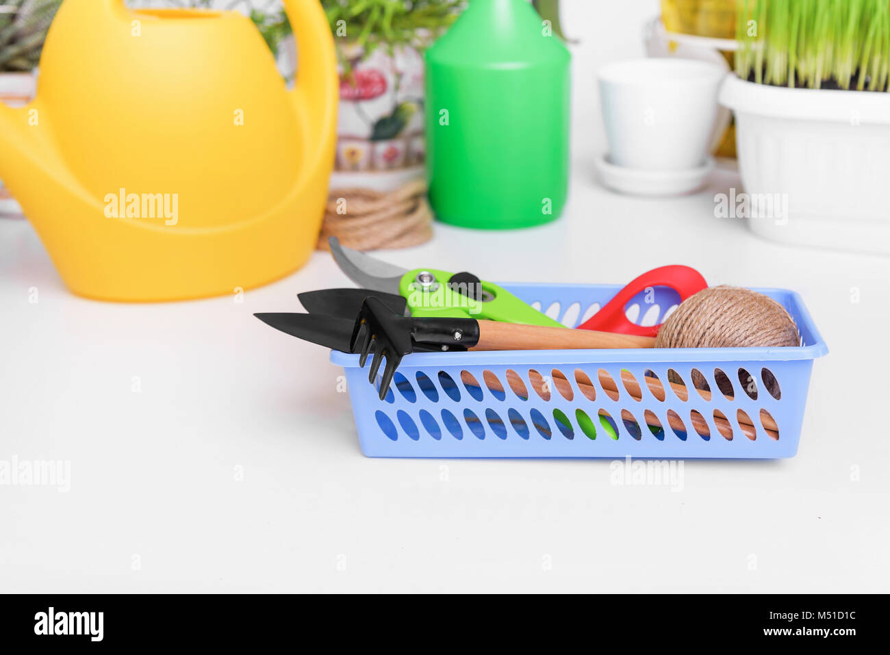 Strumenti per il trapianto di fiori. Foto Stock