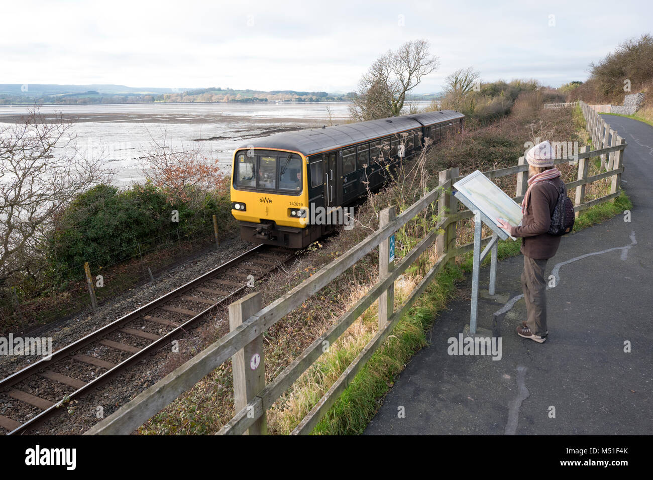 Persona che guarda un avviso sul Exe pista ciclabile accanto all'avocetta linea ferroviaria, Devon, Regno Unito Foto Stock