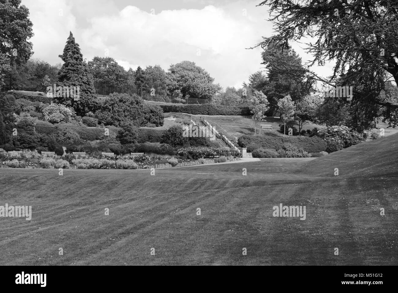 Calverley motivi parco pubblico di Tunbridge Wells con giardini ornamentali e diversi alberi e cespugli - elaborazione monocromatica Foto Stock