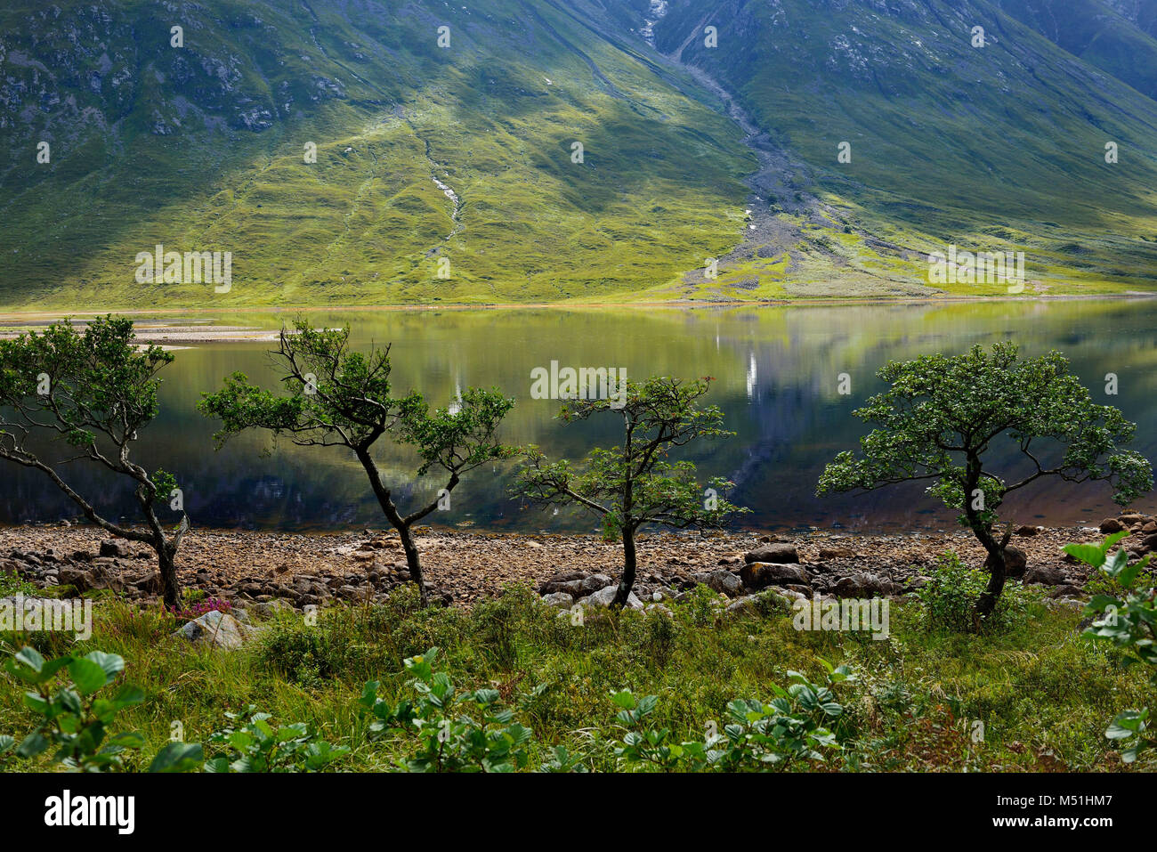 Regno Unito, Scozia, Highlands: Glen Etive Valley Foto Stock