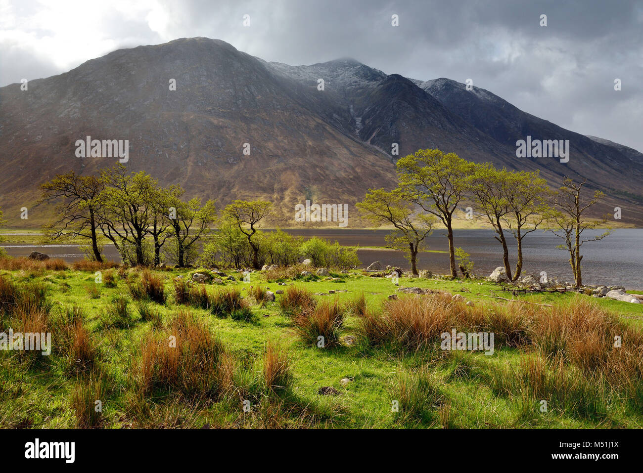 Regno Unito, Scozia, altopiani, Glen Etive Valle: Loch Etive Foto Stock