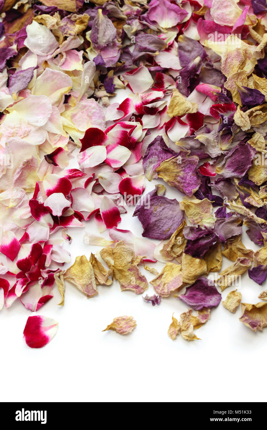 Sfondo di secchi fatti in casa i petali di rose Foto Stock