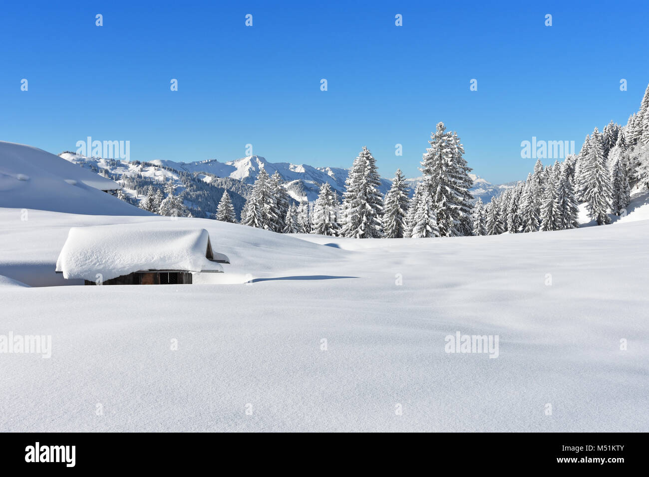 Profondamente paesaggio innevato in Algovia orientale delle Alpi con foreste e un piccolo capanno in una bella giornata d'inverno. La Baviera, Germania Foto Stock