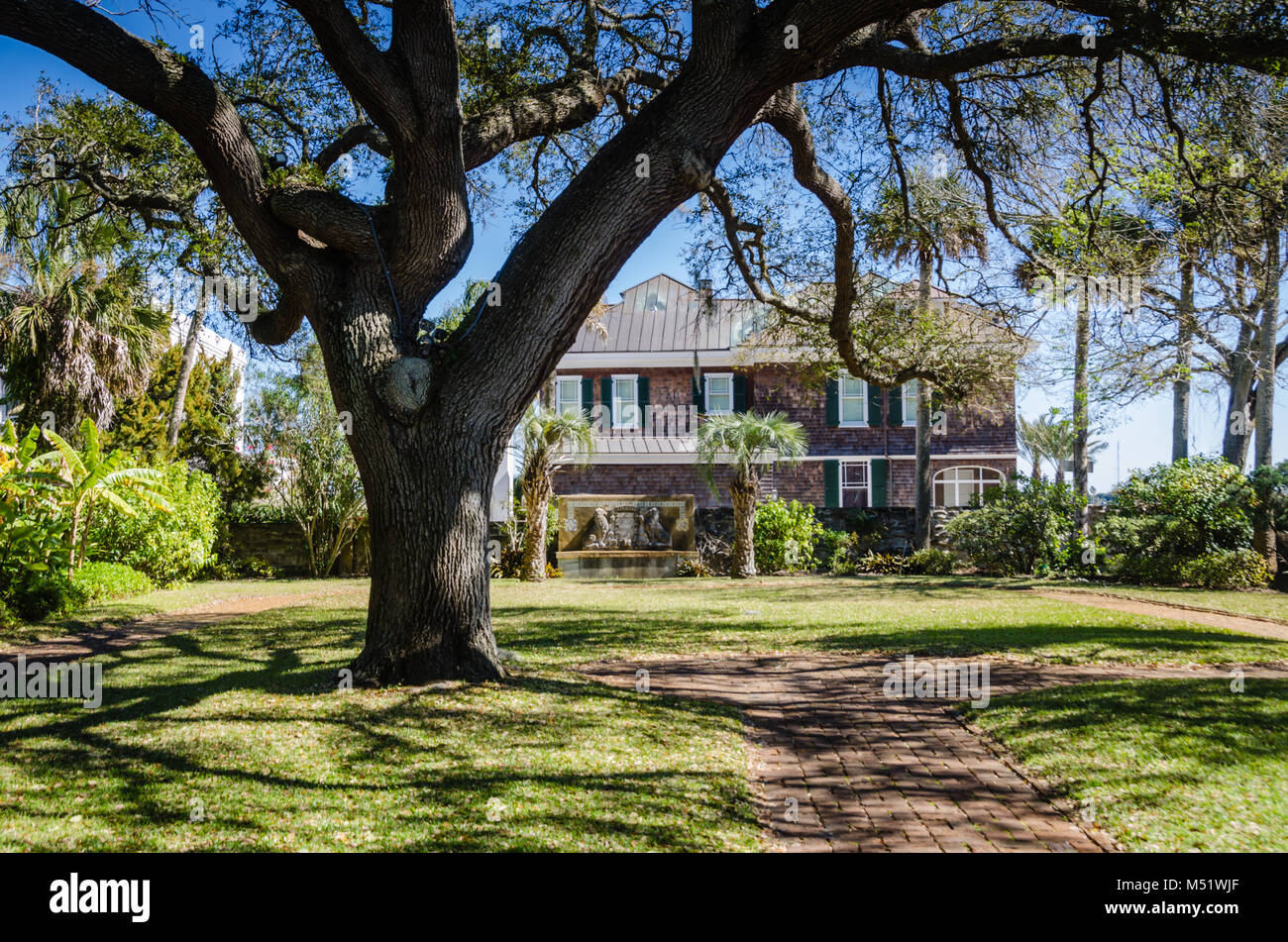 Un enorme albero di quercia in giardino meridionale nello storico quartiere di Sant'Agostino, Florida. Foto Stock