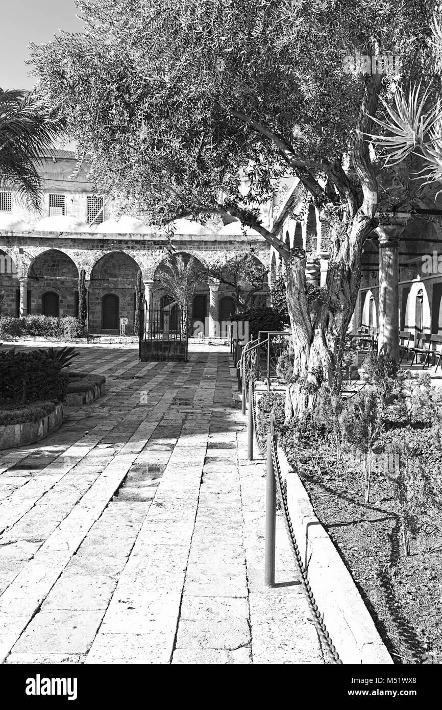 La Moschea Al-Jazzar nel vecchio acro Foto Stock