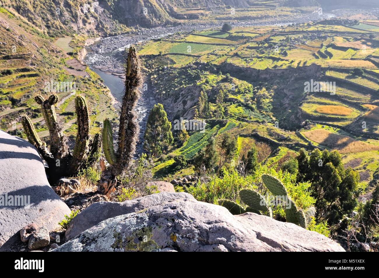 Vista della Valle di Colca in Perù Foto Stock