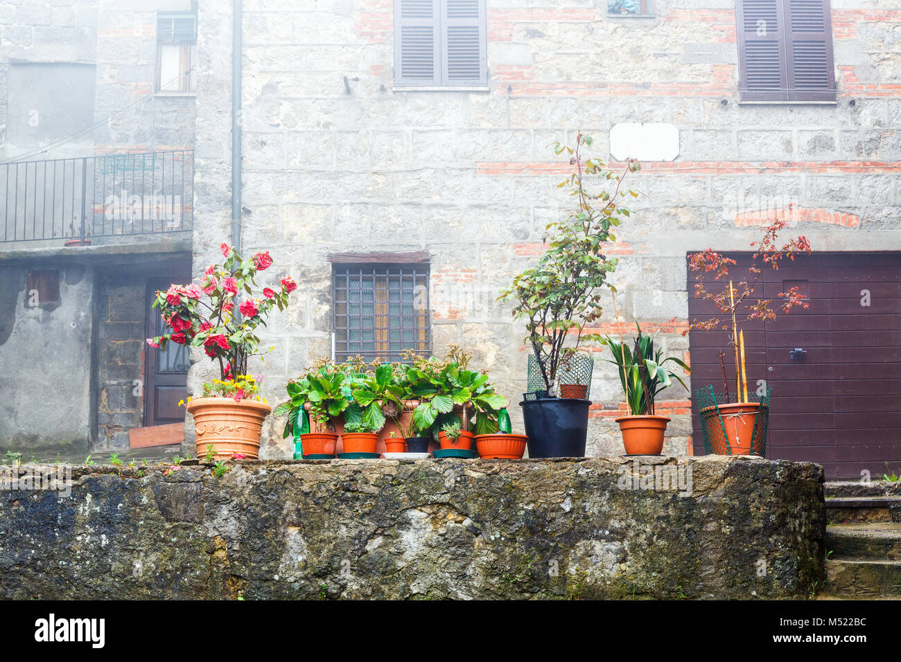 Piante in vaso su una parete in un cortile Foto Stock