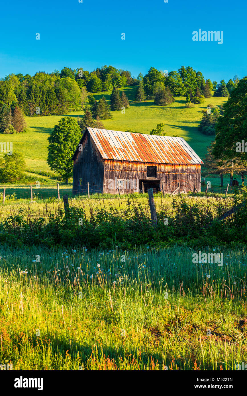 Fienile in campo nel Vermont USA Foto Stock