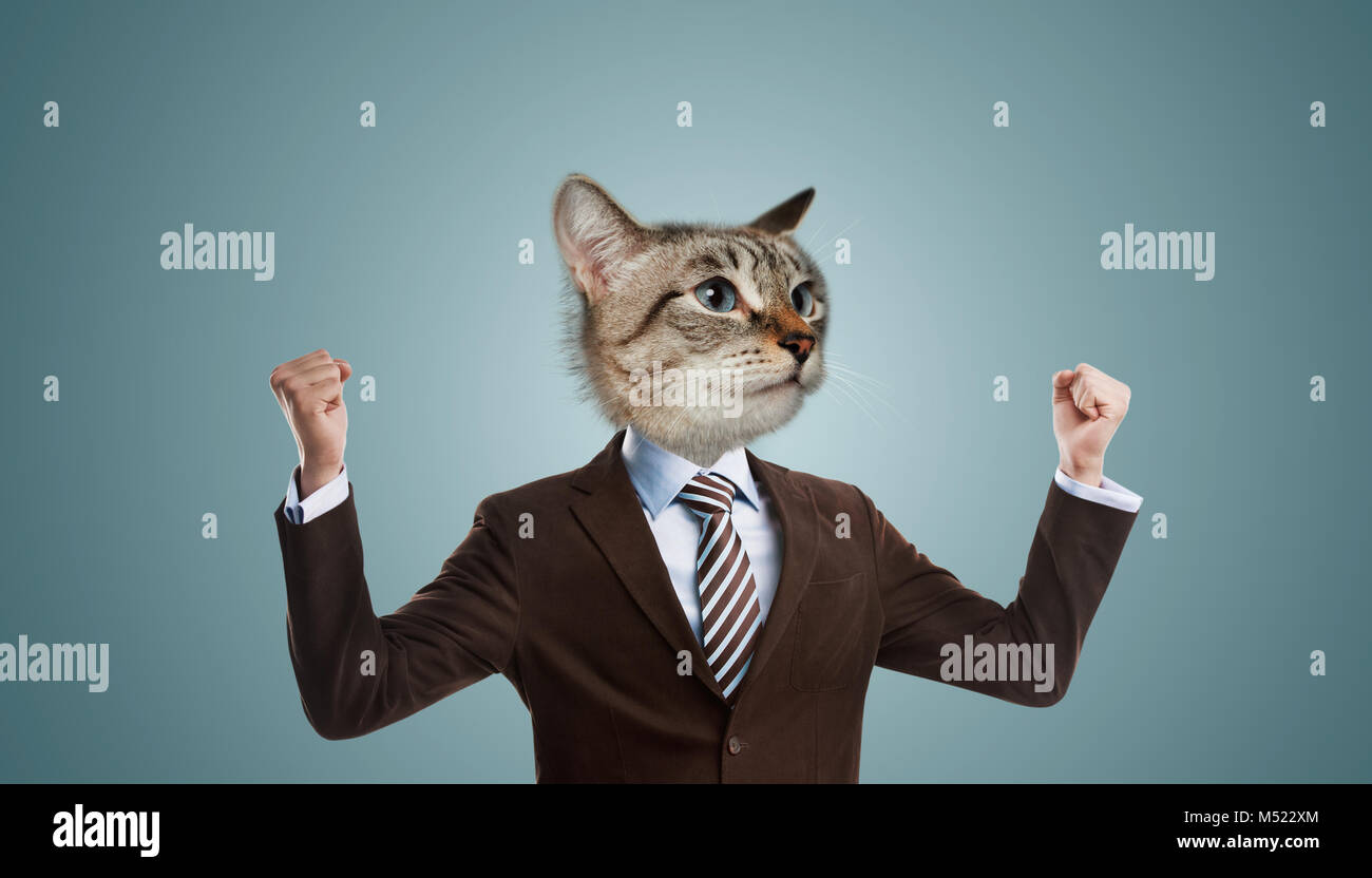 Uomo d affari con testa di gatto Foto stock - Alamy