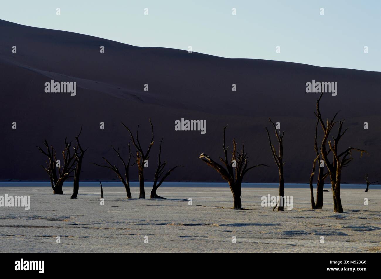 Surreale paesaggio deserto sossuscvlei, Deserto della Namibia Foto Stock