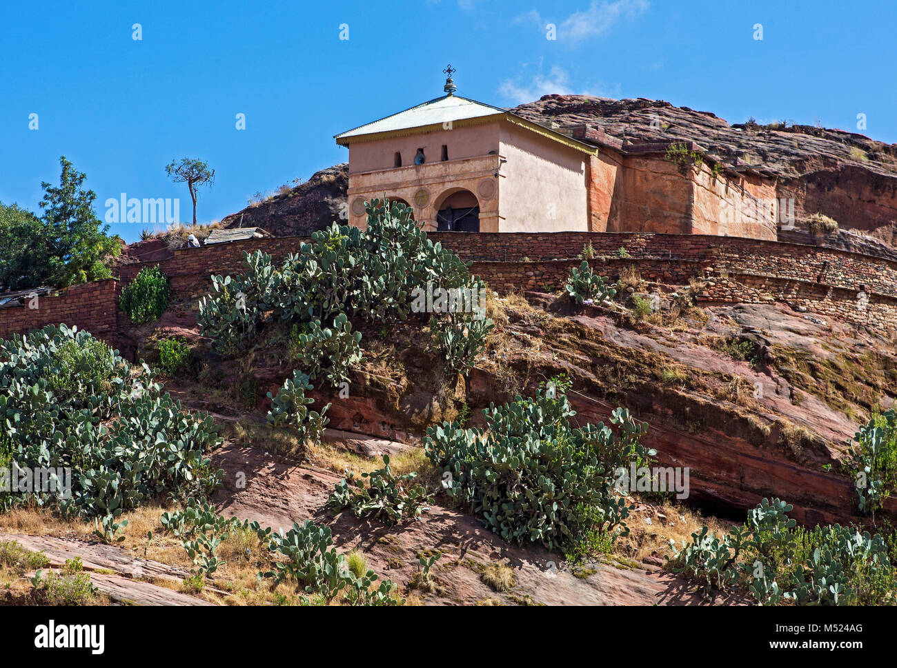 Chiesa monolitica Abreha wa Atsbeha sulla collina rocciosa,di fronte Indian fig opuntias (Opuntia ficus-indica),Gheralta regione Foto Stock
