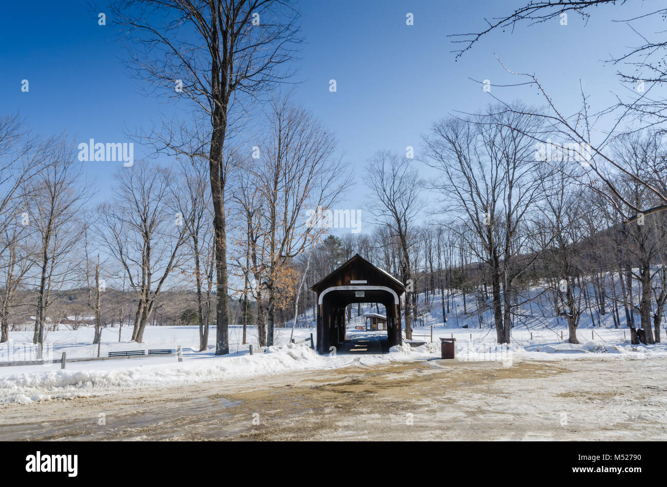 Il McWilliam ponte coperto è un 62 piedi span in legno che attraversa un ramo del fiume Saxtons in Grafton, Vermont. Foto Stock