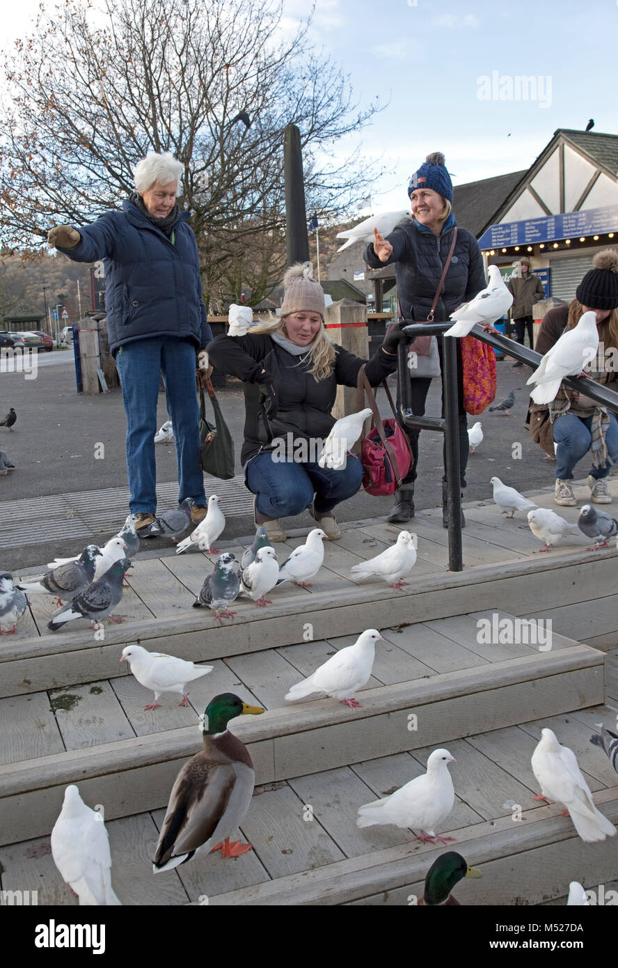 Famiglia sorridente uccelli alimentazione Bowness on Windermere Cumbria Regno Unito Foto Stock