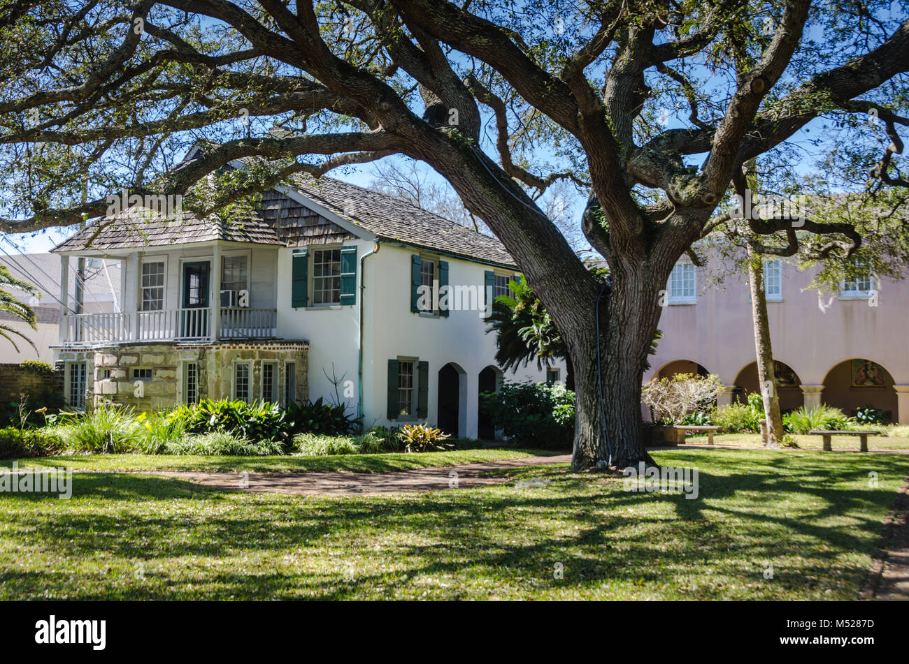 Un enorme albero di quercia in giardino paesaggistico di González Alvarez-House, la più antica casa di sant Agostino, Florida. Foto Stock