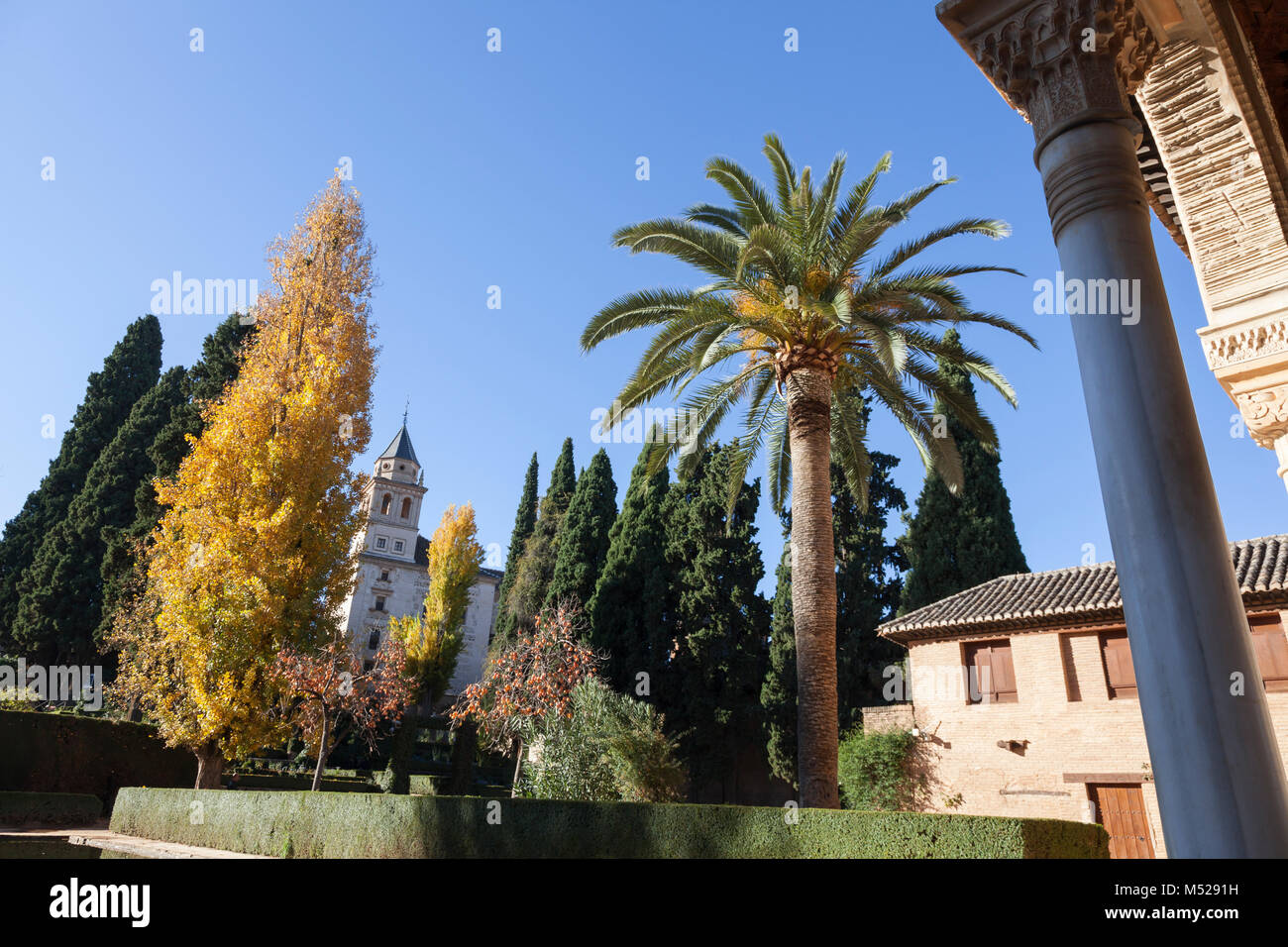 Granada, Spagna: Jardines del Partal presso la Torre de Las Damas nell'Alhambra Palace e fortezza. Foto Stock