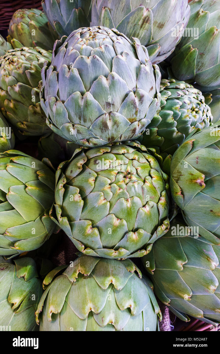 Carciofi Foto Stock