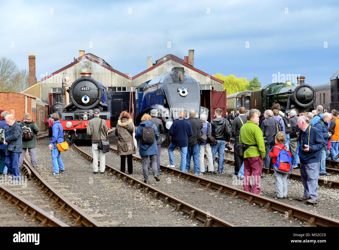 Locomotive a vapore 6023 re Edoardo II e 60007 Sir Nigel Gresley a Didcot Railway centro durante il 'Una volta in una luna blu' dell'evento. Foto Stock