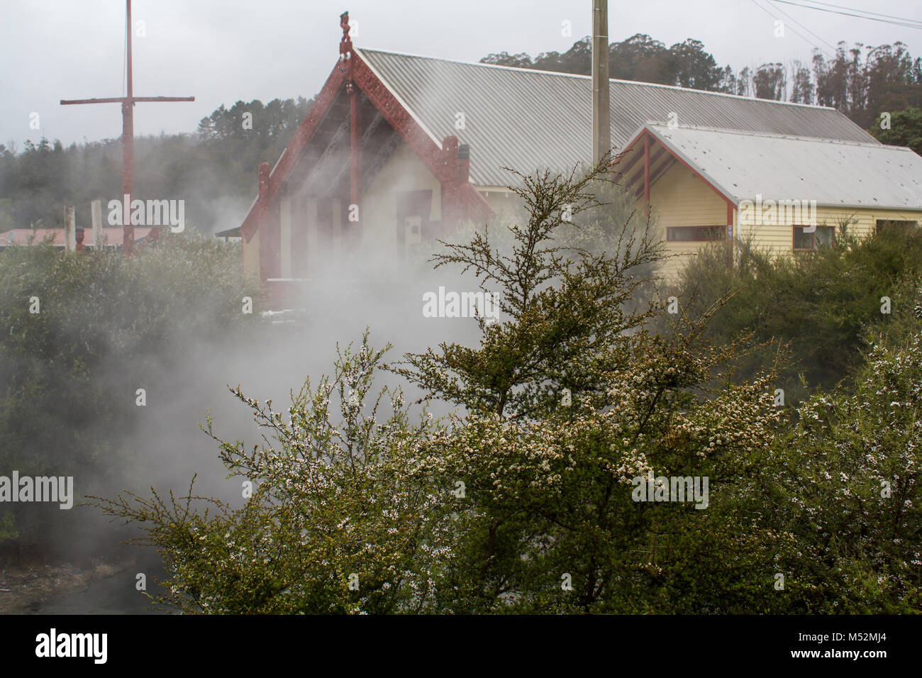 Vapore geotermico fluisce dal terreno nel villaggio Maori Foto Stock