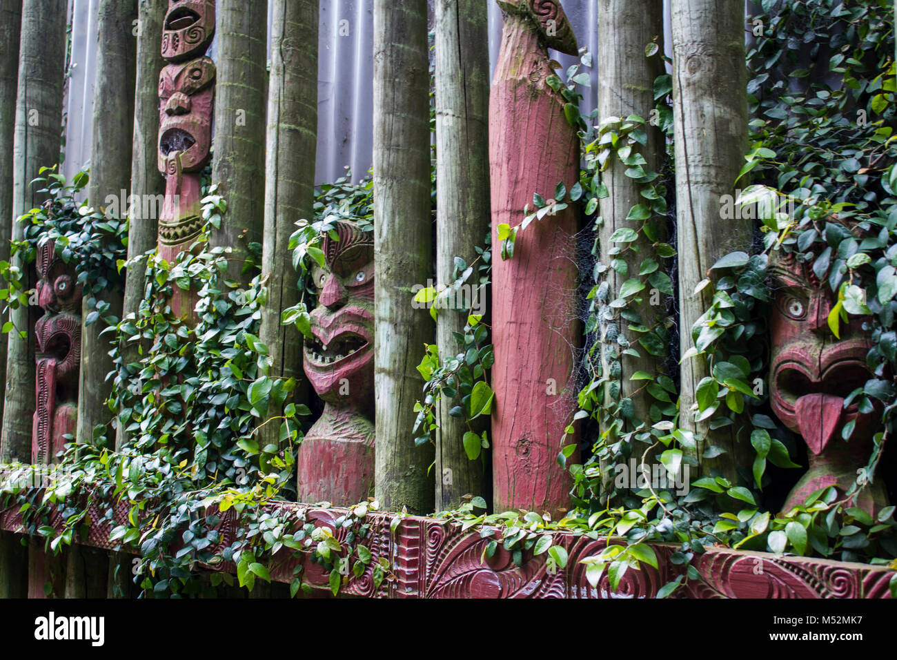 Maori maschere intagliate con foglie intorno Foto Stock